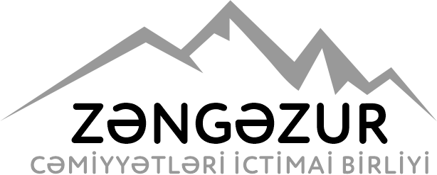"Zəngəzur"un layihəsi barədə 60-dan çox informasiya yayılıb